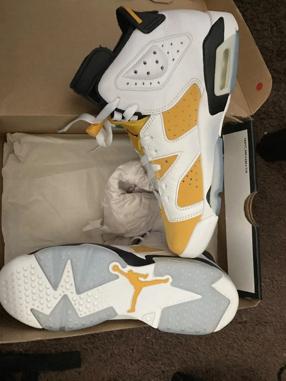Jordan retro 6